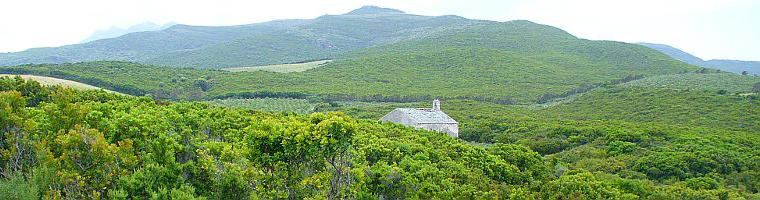 Agence de voyage - verdure Corse